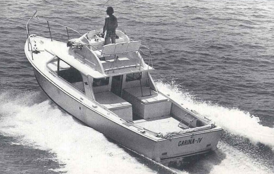 Bertram 31